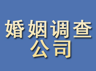 龙亭婚姻调查公司